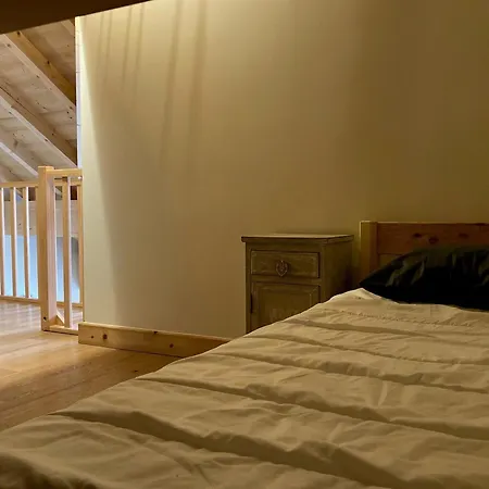 Grand Lumineux 7 Pieces, 250m Pistes, 10 Pers, Animaux Admis - Fr-1-811-13 Apartment Les Deux Alpes